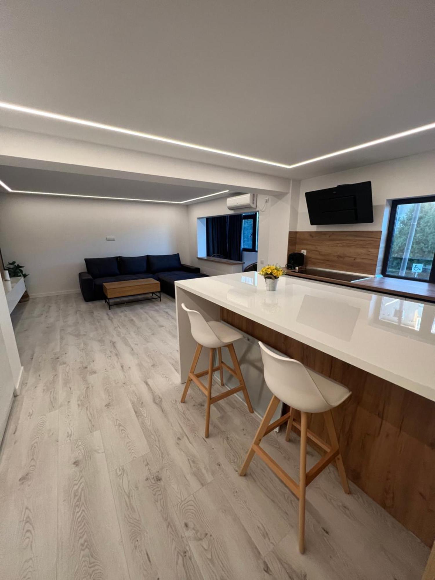 Modern Premium Apartment 1 トゥルゴヴィシュテ エクステリア 写真